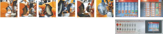 0.37kw schijftype multi-Posten Autopoetsmiddel voor de Schuurmachine van Metaalwaren voor Metaalwaren/Cookware